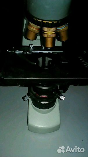 Микроскоп Motic BA300