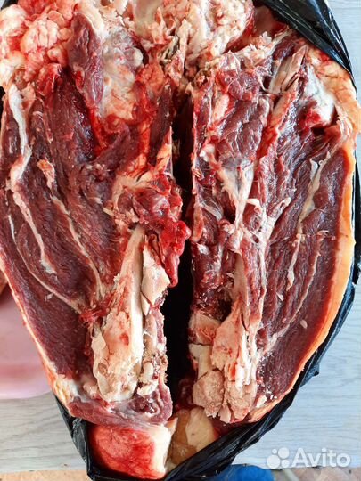 Голова говяжья в разрубе