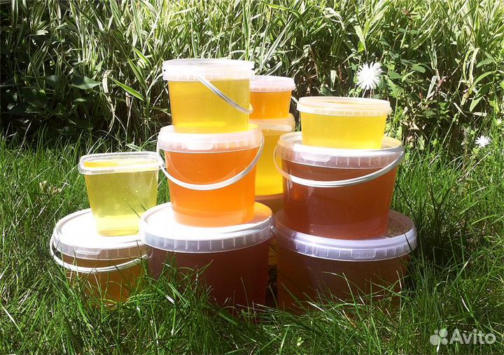 Мёд Горый Липа Акация опт