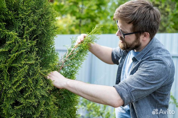 Ваш личный Садовник