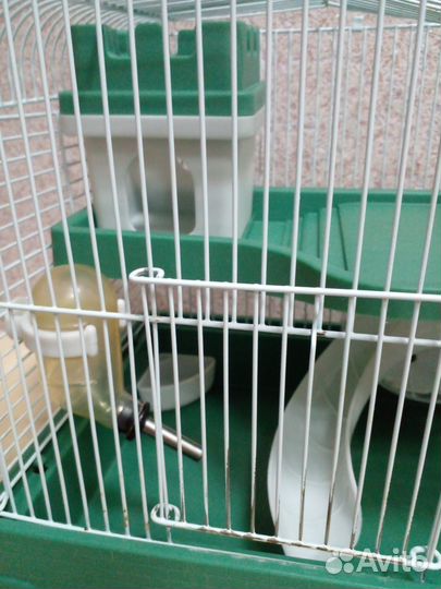 Клетка для джунгарского хомяка