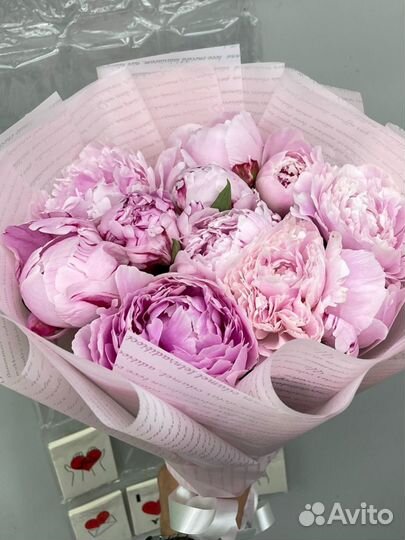Пионы / букет пион, 11, 15, 25, 39, 51