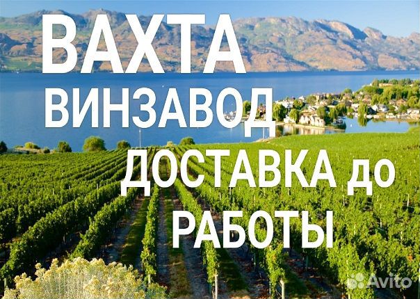 Укладчик на линию Вахта винзавод