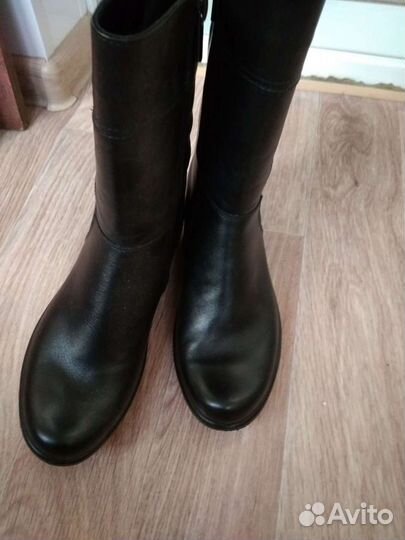 Сапоги женские новые