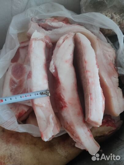 Сало свиное свежее