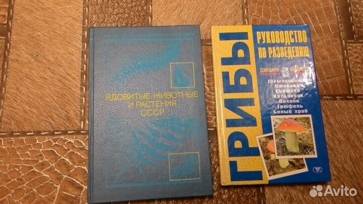 Виноградарство. Растения. Грибы, Ботаника