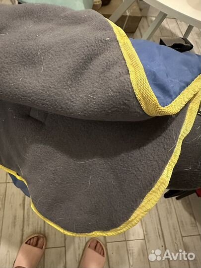 Попона для пони