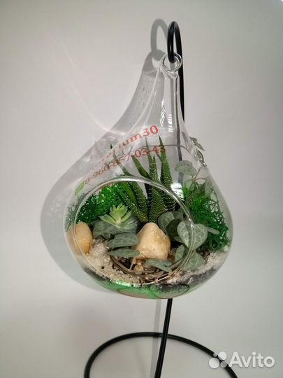 Флорариум сфера