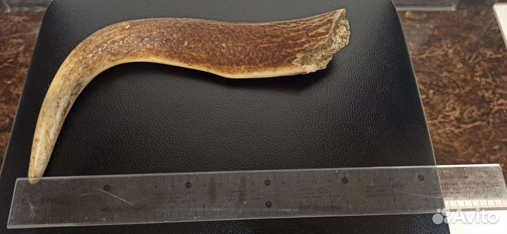 Рог для ножа