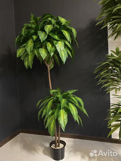 Искусственное дерево Манго