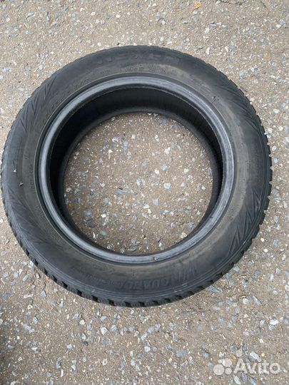 Nexen Winguard WinSpike WH62 205/55 R16