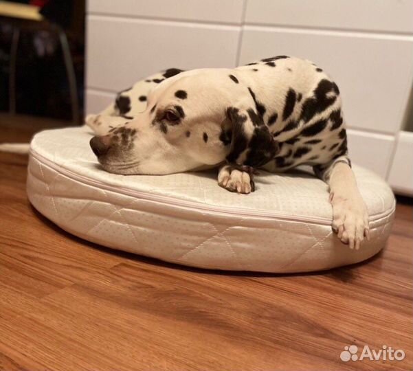 Лежанка большая