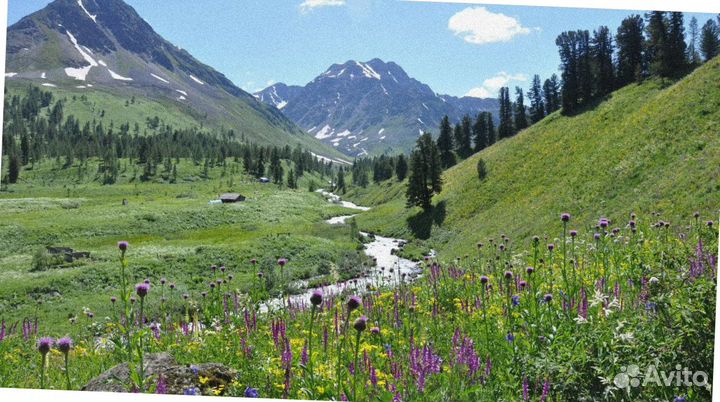 Летом на Алтай тур экспедиция 4-7 дней