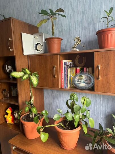 Уголок школьника