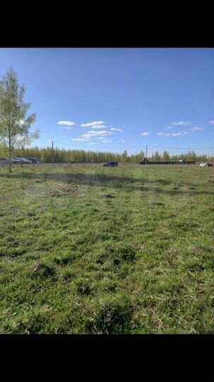 Участок 15 сот. (ИЖС)