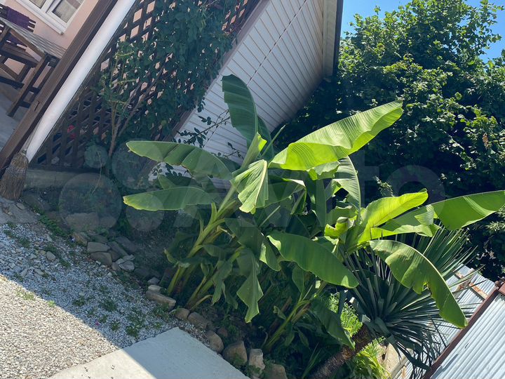 Комната 23 м², 1/1 эт.