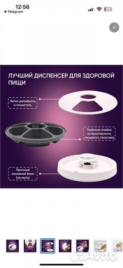 Автокормушке для собак и кошек