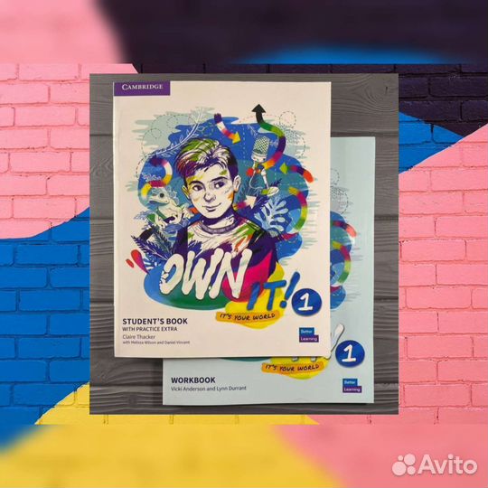 Учебник Own it