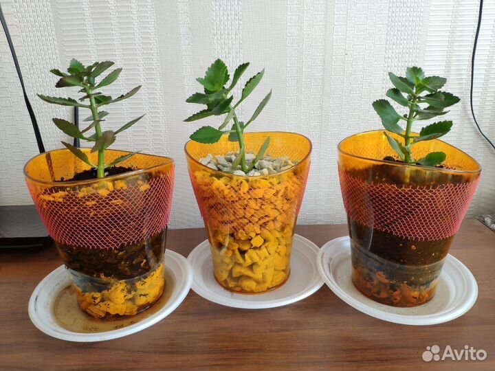 Пеностекло субстрат грунт