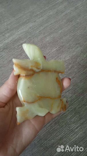 Лечебная черепаха