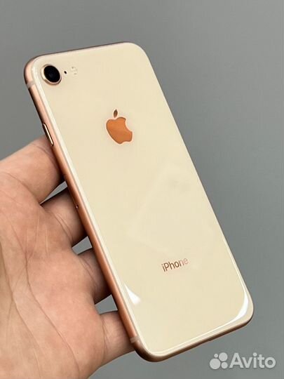 iPhone 8, 256 ГБ