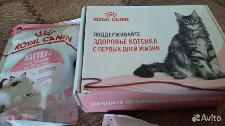 Сухой корм для кошек royal canin