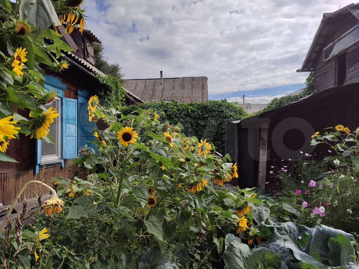 Дом 38,9 м² на участке 4,5 сот.