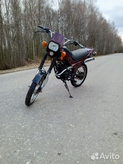 Зид пилот 50