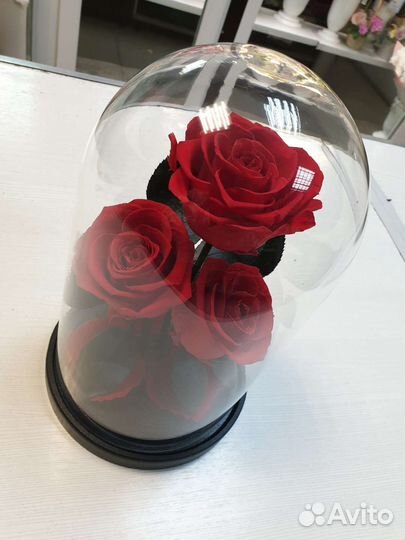 Роза в колбе от rozakhv