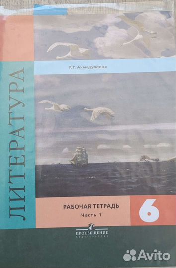 Рабочие тетради 6 класс