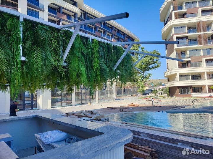 Растения для подвесных конструкций