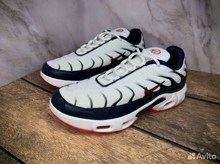 Кроссовки мужские Nike Air Max Tn