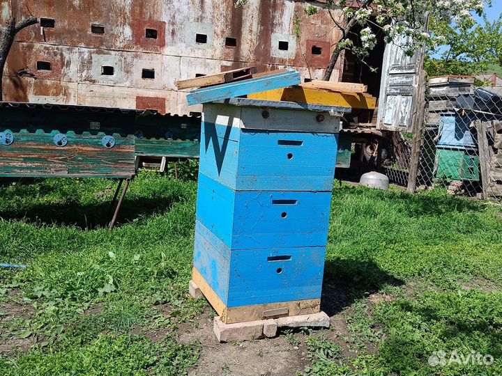 Ульи для пчел рутовские и дадановские