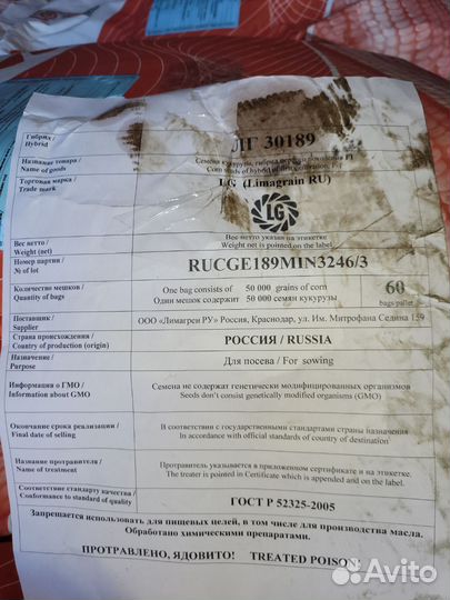 Кукуруза зерно оптом