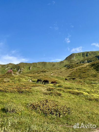 Поход на Бзерпинский карниз / Пик Бзерпи