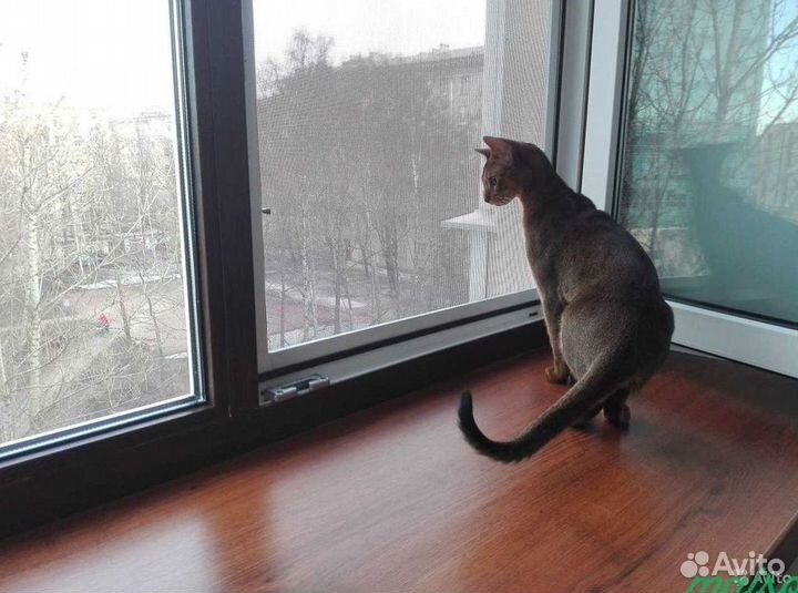 Москитные сетки на окна