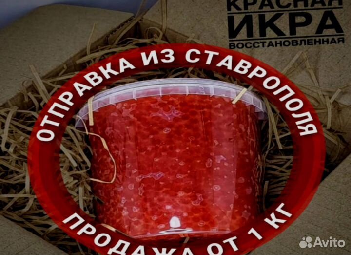 Красная икра оптом