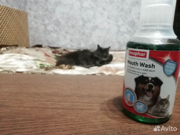 Ополаскиватель для полости рта кошек и собак