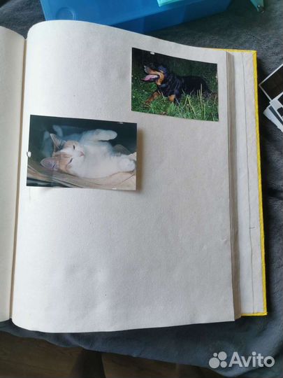 Фотоальбом новый
