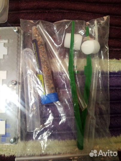 Муравьинная ферма