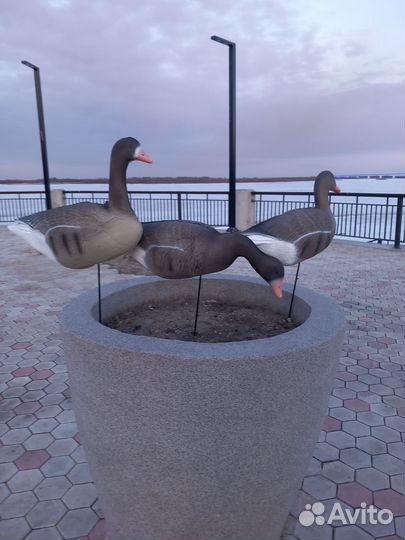 Чучела белолобых гусей 3D. 10шт