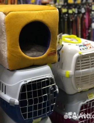 Одежда для собак и кошек