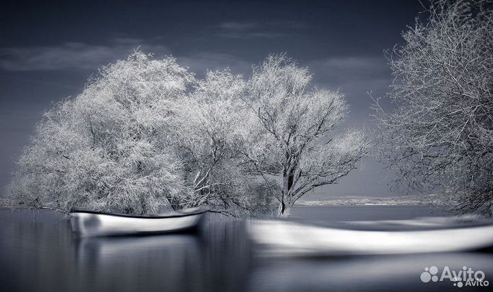 Инфракрасный фотоаппарат Nikon