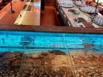 Обслуживание аквариумов в ресторанах и частных лиц