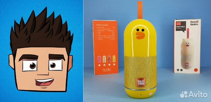 Блютуз колонка T&G Радио Микрофон Влагозащита