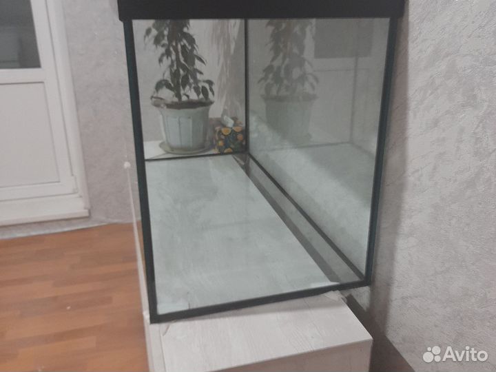 Огромный аквариум 250л