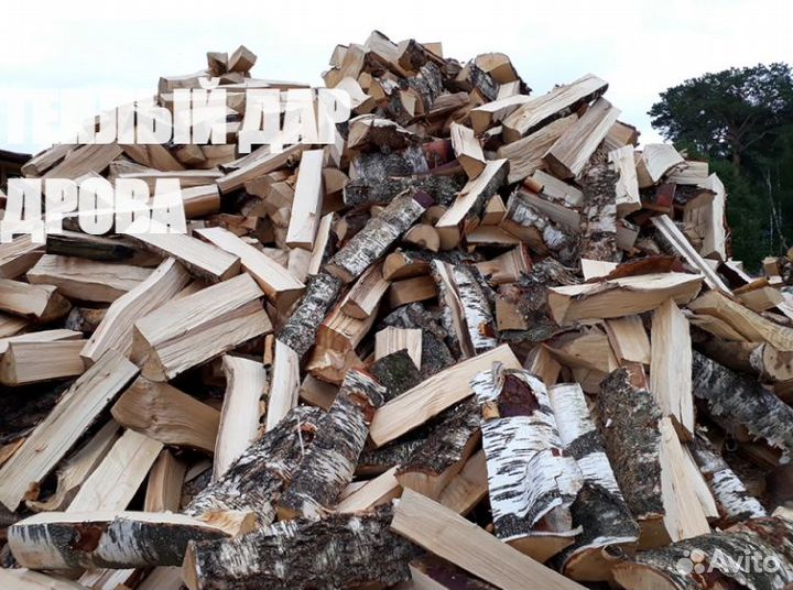 Дрова осиновые