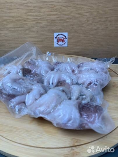 Осьминоги молодые