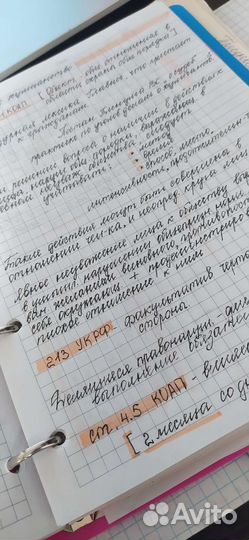 Напишу/перепишу конспекты и лекции