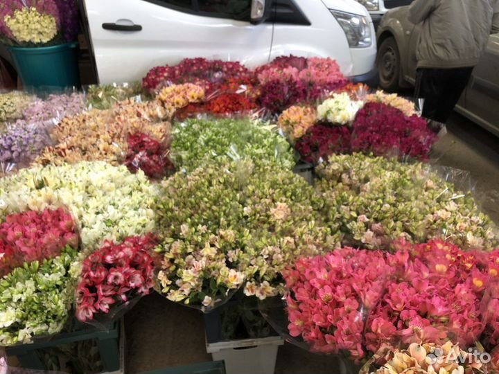 Цветы опт и розница